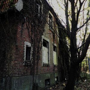 DSCN7311.JPG