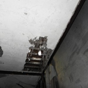 DSCN7335.JPG