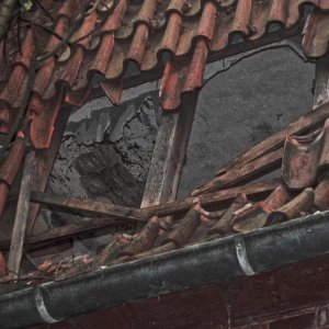 DSCN7339.JPG