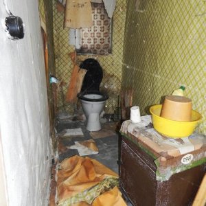 DSCN9534.JPG