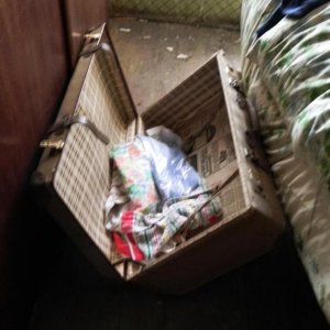 DSCN9554.JPG