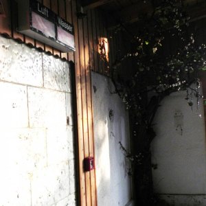 DSCN9701.JPG