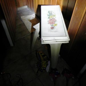 DSCN9713.JPG