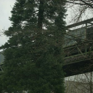 Kalksteinwerk3.jpg