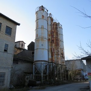 IMG_6781.JPG