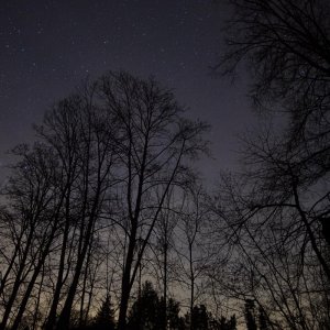 20180407_010454.JPG