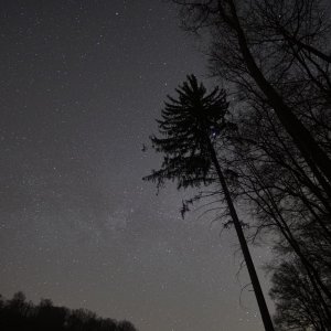 20180408_034249.JPG
