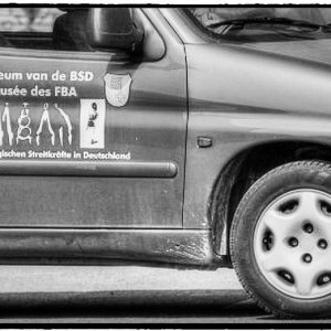 IMG_3005_Fotor.jpg