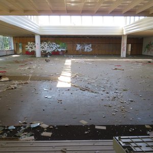 IMG_7335.JPG