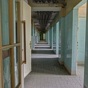 530.jpg