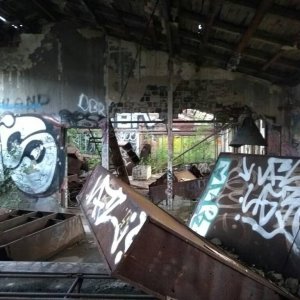 1528041097172.jpg