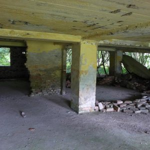 P1050717.JPG