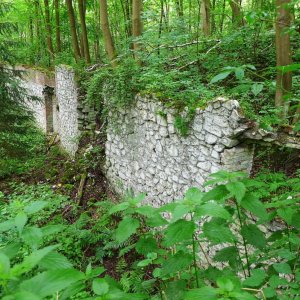 P1050725.JPG