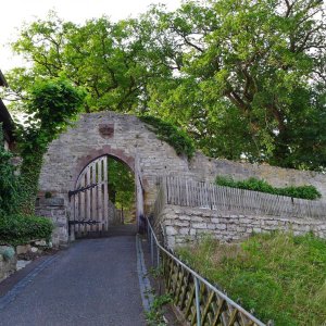 P1050848.JPG