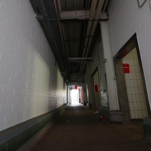 IMG_2896.JPG