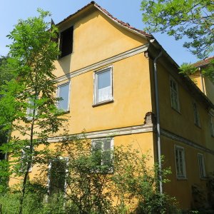 IMG_8115.JPG