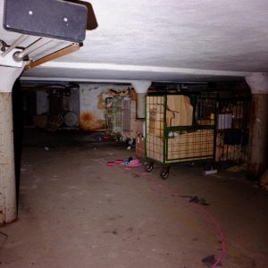 2018_0305_11164300.jpg