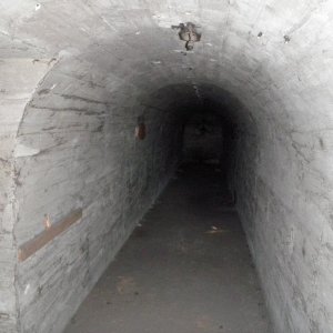 PC104210.JPG