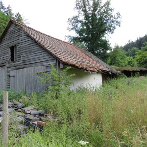 IMG_1406.JPG