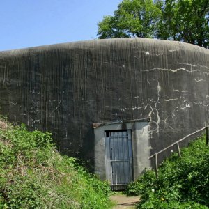 EE51.jpg
