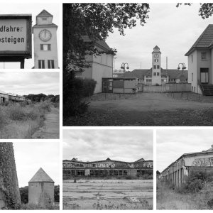 Collage_Fotorx.jpg