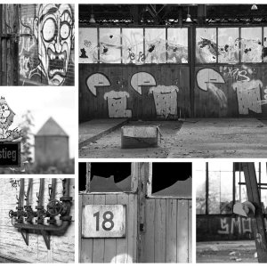 Collage_Fotory2.jpg