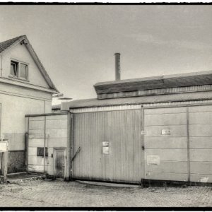 IMG_5737.jpg
