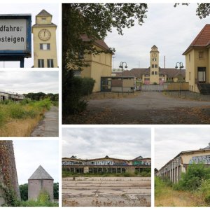 Collage_Fotor.jpg