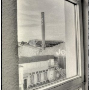 IMG_5806.jpg