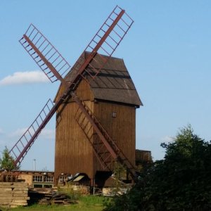 20180906_175248.jpg