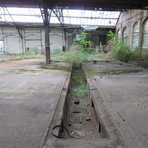 IMG_5575.JPG