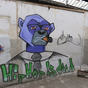 IMG_5560.JPG