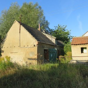 IMG_6980.JPG
