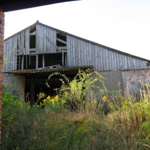 IMG_7040.JPG