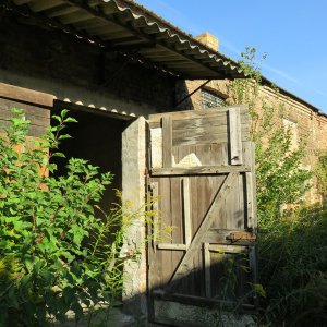 IMG_7067.JPG