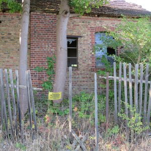 IMG_7095.JPG
