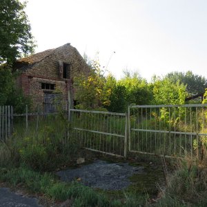 IMG_7091.JPG