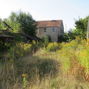 IMG_7088.JPG