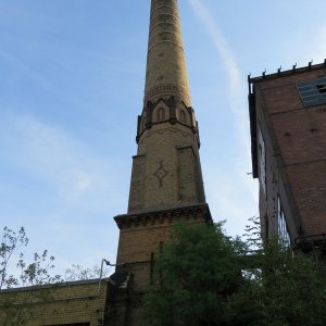 IMG_7650.JPG