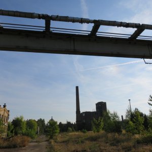 IMG_7661.JPG