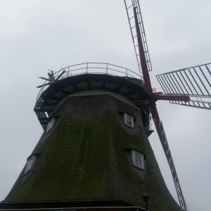 20180907_113813.jpg