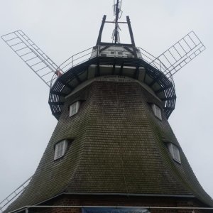 20180907_113742.jpg