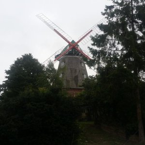 20180907_113142.jpg