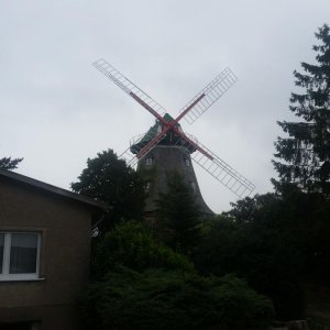 20180907_113107.jpg