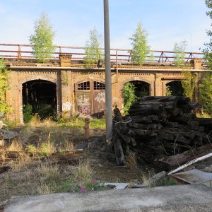 IMG_7585.JPG