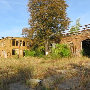 IMG_7591.JPG