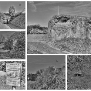 Collage_Fotor2x.jpg