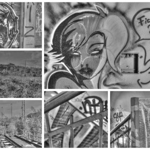 Collage_Fotor3x.jpg