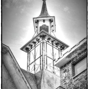 IMG_8038.jpg