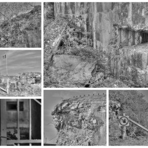 Collage_Fotor3x.jpg